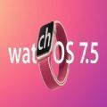 watchOS 7.5 beta2支持机型安装包描述文件
