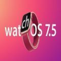 苹果watchOS 8 Beta描述文件固件大全