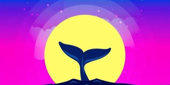 比特币交易投资软件榜单 数字货币交易所app盘点-第1张图片-芝麻交易所下载