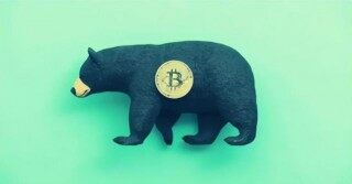gate.io芝麻交易所官网app下载说明_芝麻交易所海外版本最新下载
