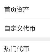 TP钱包如何配置Poriot网络并添加USDT代币-第9张图片-芝麻交易所下载
