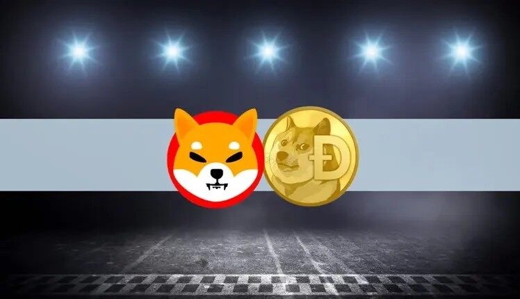 柴犬币在哪里买靠谱？正规SHIB交易所大盘点-第1张图片-芝麻交易所下载