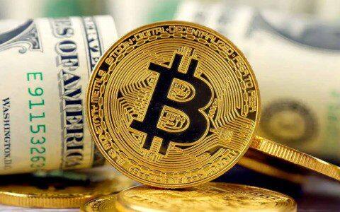 主流币交易平台哪个好 虚拟币主流币交易所排名-第1张图片-芝麻交易所下载