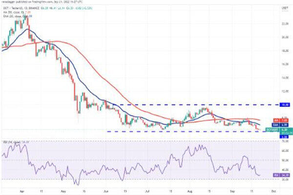 波卡币价格今日行情 DOT币最新行情资讯-第2张图片-芝麻交易所下载