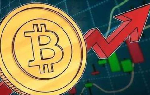 topay钱包app下载|topay钱包v8.1.9安卓版下载-第2张图片-芝麻交易所下载