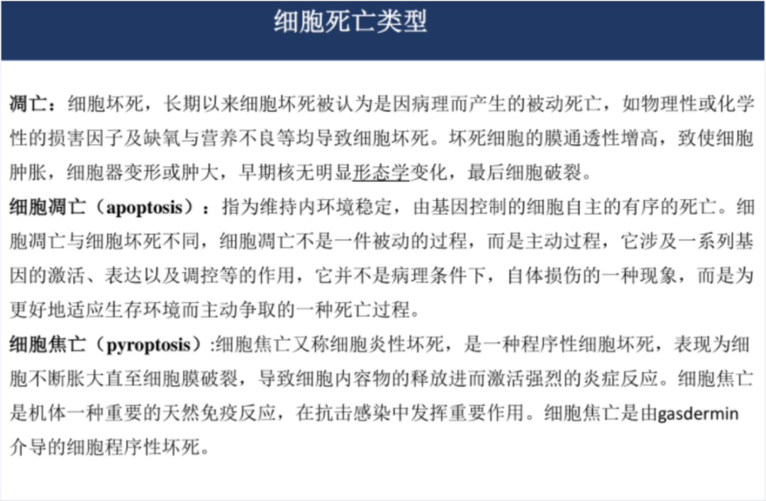 关于基金的ppt课件（关于基金的ppt课件下载）-第3张图片-芝麻交易所下载