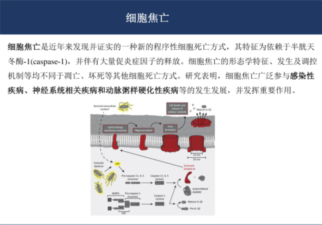 关于基金的ppt课件（关于基金的ppt课件下载）-第4张图片-芝麻交易所下载