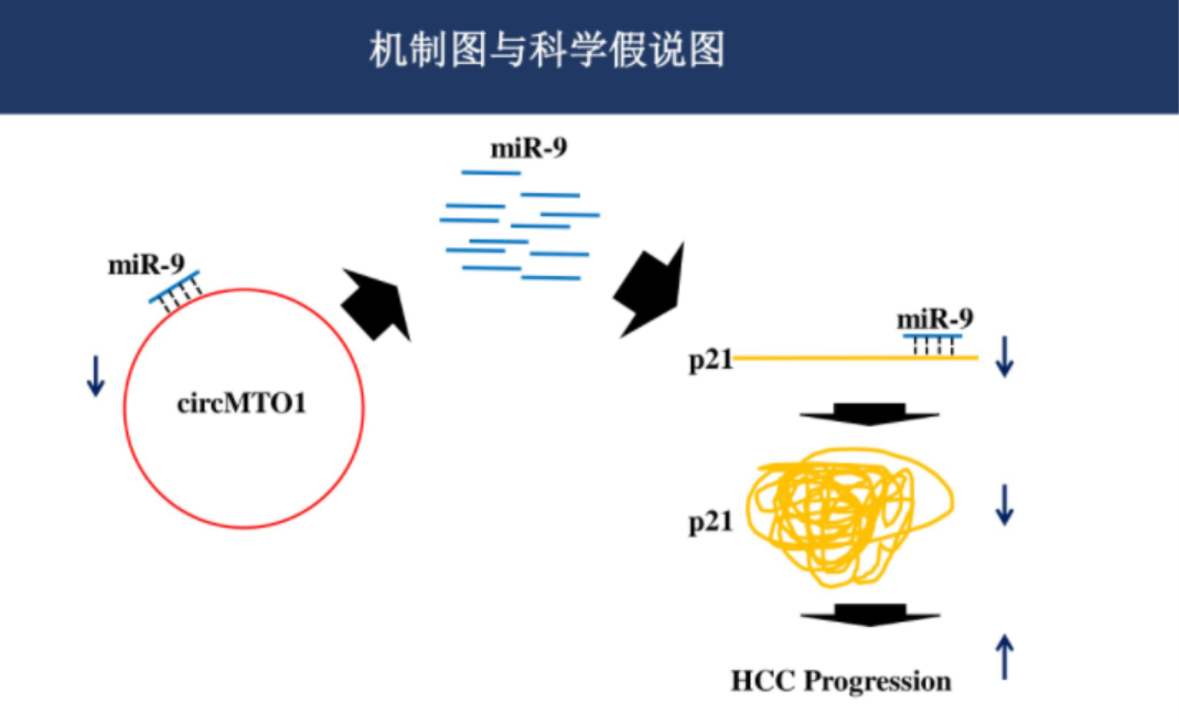 关于基金的ppt课件（关于基金的ppt课件下载）-第5张图片-芝麻交易所下载