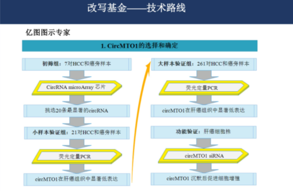 关于基金的ppt课件（关于基金的ppt课件下载）-第6张图片-芝麻交易所下载