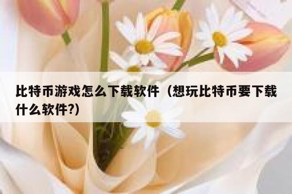 比特币游戏怎么下载软件（想玩比特币要下载什么软件？）-第1张图片-芝麻交易所下载