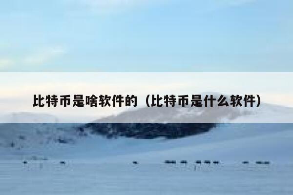 比特币是啥软件的（比特币是什么软件）-第1张图片-芝麻交易所下载