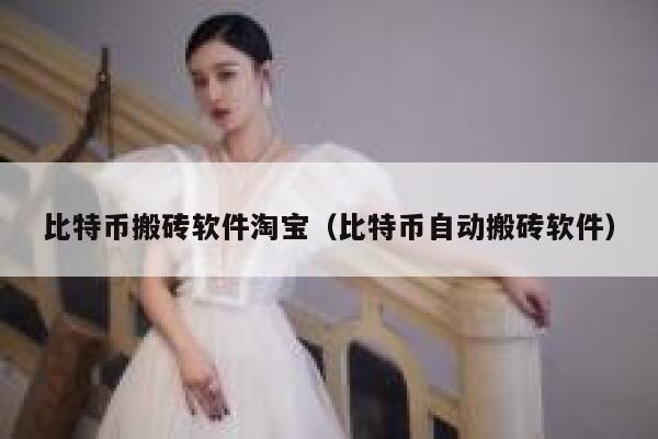 比特币搬砖软件淘宝（比特币自动搬砖软件）-第1张图片-芝麻交易所下载