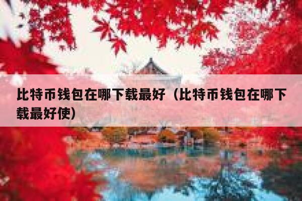 比特币钱包在哪下载最好（比特币钱包在哪下载最好使）-第1张图片-芝麻交易所下载