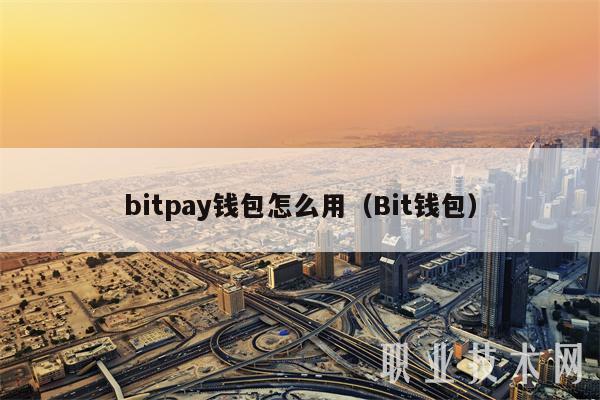 bitpay钱包怎么用（Bit钱包）-第1张图片-芝麻交易所下载