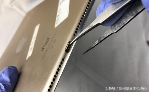 ipad不能充电（ipad闲置太久充不了电）-第5张图片-芝麻交易所下载