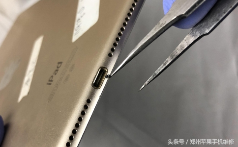 ipad不能充电（ipad闲置太久充不了电）-第6张图片-芝麻交易所下载