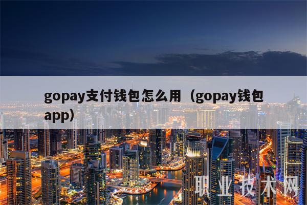 gopay支付钱包怎么用（gopay钱包app）-第1张图片-芝麻交易所下载