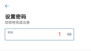 芝麻交易所交易所注册步骤 OKEx交易平台注册流程-第8张图片-芝麻交易所下载
