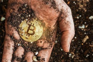 XVS币今日最新价格行情