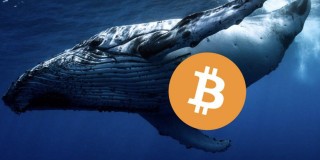 砸盘？沉睡九年巨鲸1周内转出1.5万枚比特币 部分流向binance、Kraken