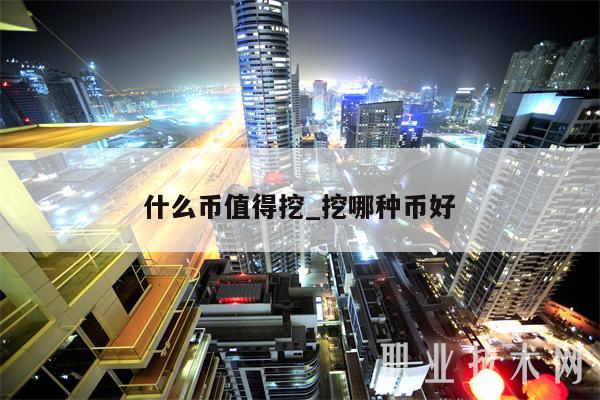 什么币值得挖_挖哪种币好-第1张图片-芝麻交易所下载