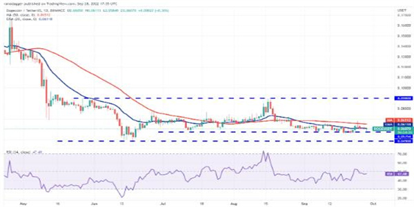 狗狗币最新价格是多少 DOGE今日最新消息-第2张图片-芝麻交易所下载