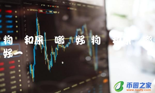 狗币和屎币哪个好一点-第1张图片-芝麻交易所下载