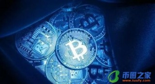 狗狗币区块数据(华登区块狗狗币)