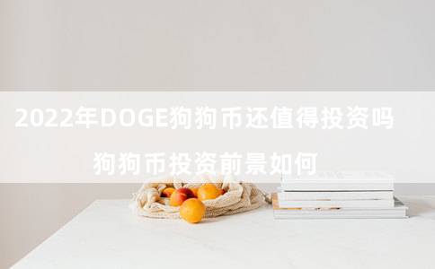 2022年DOG狗狗币还值得投资吗（狗狗币投资前景如何）-第1张图片-芝麻交易所下载
