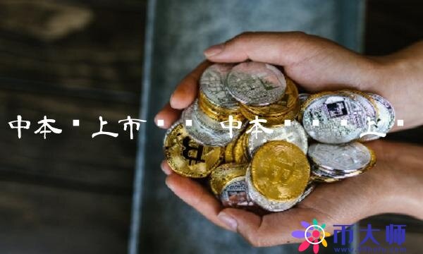 中本聪上市时间-第1张图片-芝麻交易所下载
