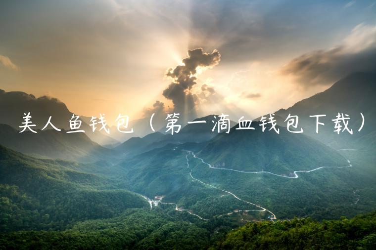 美人鱼钱包（第一滴血钱包下载）-第1张图片-芝麻交易所下载