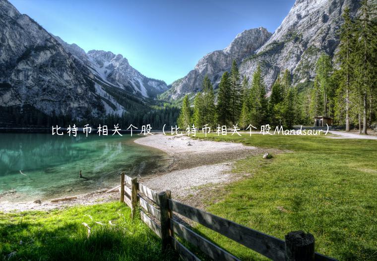 比特币相关个股（比特币相关个股Mandsaur）-第1张图片-芝麻交易所下载