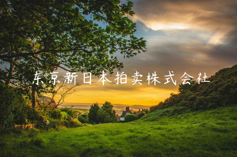 东京新日本拍卖株式会社-第1张图片-芝麻交易所下载