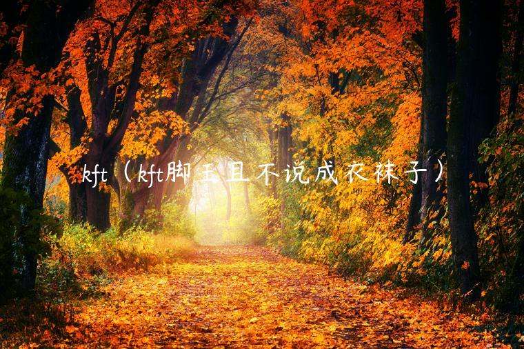 kft（kft脚王且不说成衣袜子）-第1张图片-芝麻交易所下载