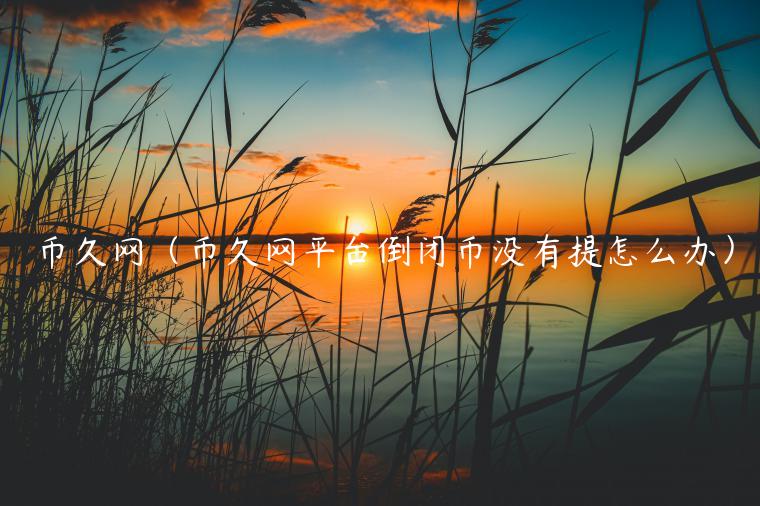 币久网（币久网平台倒闭币没有提怎么办）-第1张图片-芝麻交易所下载