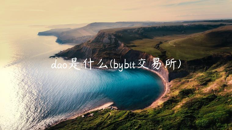 dao是什么 - bybit 交易平台-第1张图片-芝麻交易所下载