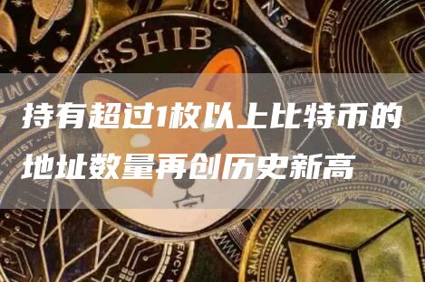 持有超过1枚以上比特币的地址数量再创历史新高-第1张图片-芝麻交易所下载