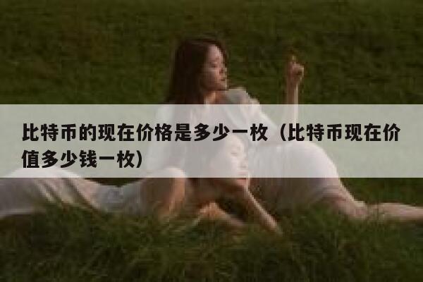 比特币的现在价格是多少一枚（比特币现在价值多少钱一枚）-第1张图片-芝麻交易所下载