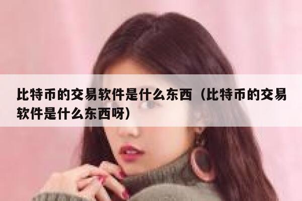 比特币的交易软件是什么东西（比特币的交易软件是什么东西呀）-第1张图片-芝麻交易所下载