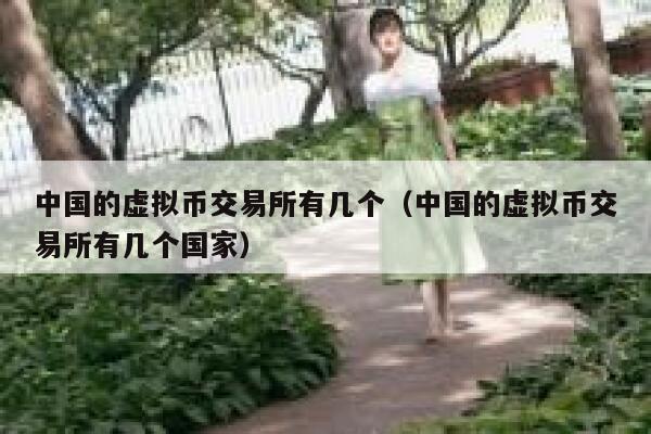 中国的虚拟币交易所有几个（中国的虚拟币交易所有几个国家）-第1张图片-芝麻交易所下载