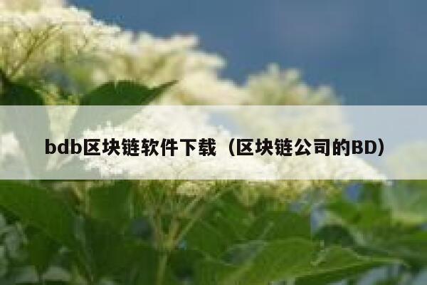 bdb区块链软件下载（区块链公司的BD）-第1张图片-芝麻交易所下载