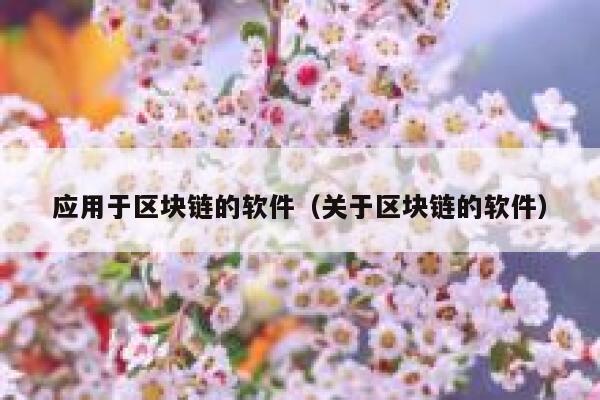 应用于区块链的软件（关于区块链的软件）-第1张图片-芝麻交易所下载