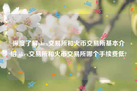 芝麻交易所下载最新官方app-深度了解ok 交易平台和火币 交易平台基本介绍 ok 交易平台和火币 交易平台哪个手续费低-第1张图片-芝麻交易所下载