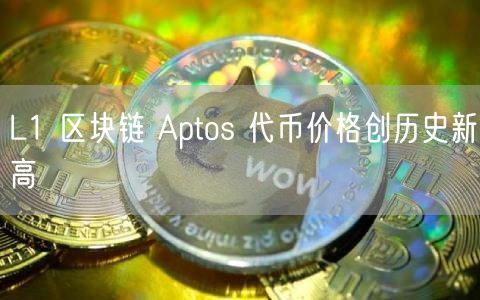 L1 区块链 Aptos 代币价格创历史新高-第1张图片-芝麻交易所下载