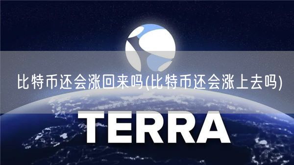 比特币还会涨回来吗(比特币还会涨上去吗)-第1张图片-芝麻交易所下载