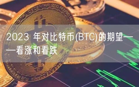 2023 年对比特币(BTC)的期望——看涨和看跌-第1张图片-芝麻交易所下载