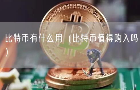 比特币有什么用（比特币值得购入吗）-第1张图片-芝麻交易所下载