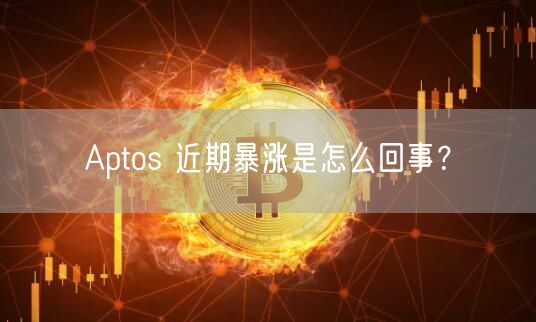 Aptos 近期暴涨是怎么回事？-第1张图片-芝麻交易所下载