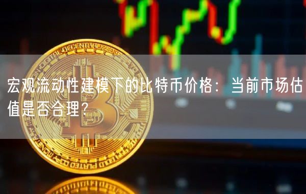 宏观流动性建模下的比特币价格：当前市场估值是否合理？-第1张图片-芝麻交易所下载