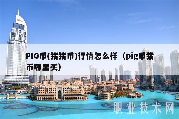 PIG币 - 猪猪币行情怎么样（pig币猪币哪里买-第1张图片-芝麻交易所下载